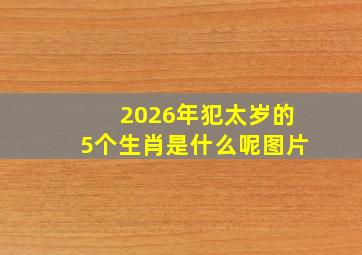 2026年犯太岁的5个生肖是什么呢图片