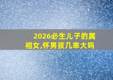 2026必生儿子的属相女,怀男孩几率大吗