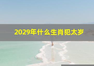 2029年什么生肖犯太岁