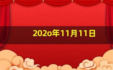 202o年11月11日