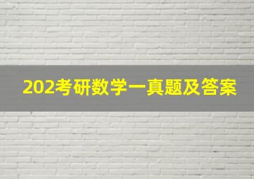 202考研数学一真题及答案