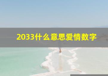 2033什么意思爱情数字