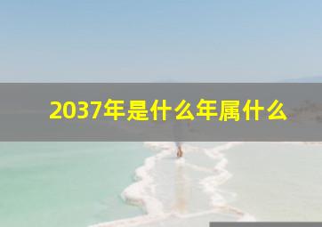 2037年是什么年属什么