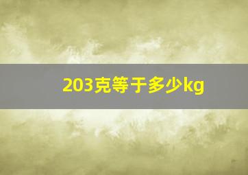 203克等于多少kg