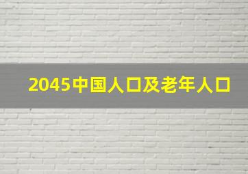 2045中国人口及老年人口