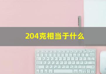 204克相当于什么