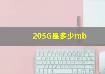 205G是多少mb