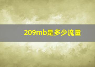 209mb是多少流量