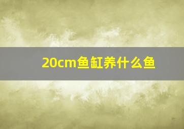 20cm鱼缸养什么鱼