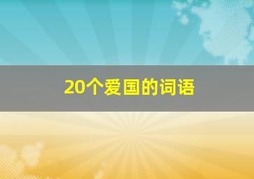 20个爱国的词语