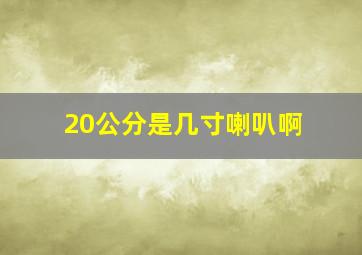 20公分是几寸喇叭啊