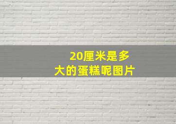 20厘米是多大的蛋糕呢图片