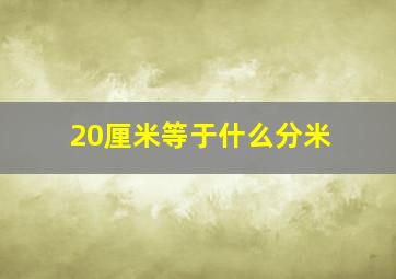 20厘米等于什么分米