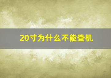 20寸为什么不能登机