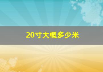 20寸大概多少米