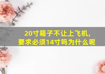 20寸箱子不让上飞机,要求必须14寸吗为什么呢