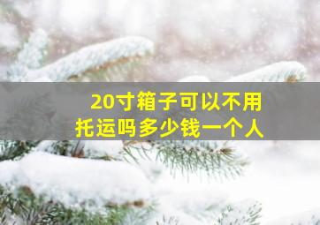 20寸箱子可以不用托运吗多少钱一个人