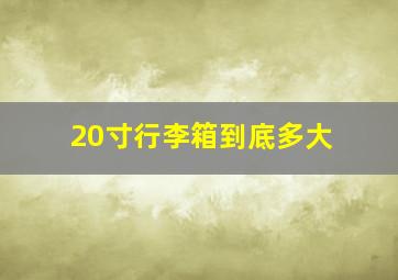 20寸行李箱到底多大