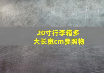 20寸行李箱多大长宽cm参照物