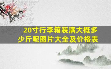 20寸行李箱装满大概多少斤呢图片大全及价格表