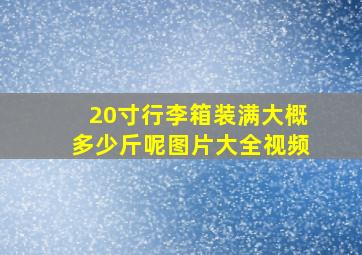 20寸行李箱装满大概多少斤呢图片大全视频