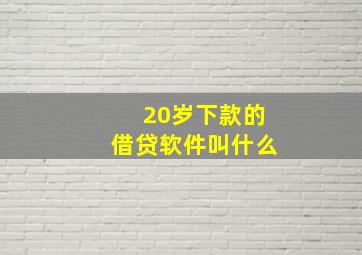 20岁下款的借贷软件叫什么