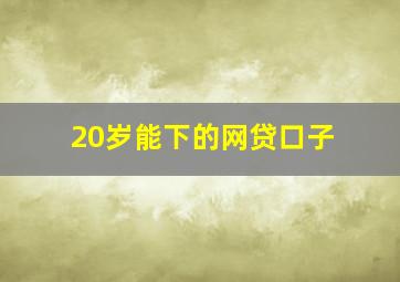 20岁能下的网贷口子