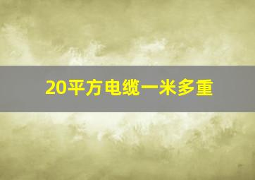 20平方电缆一米多重