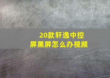 20款轩逸中控屏黑屏怎么办视频