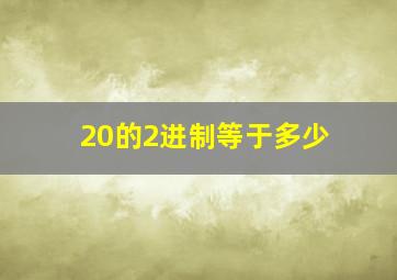 20的2进制等于多少