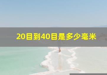 20目到40目是多少毫米