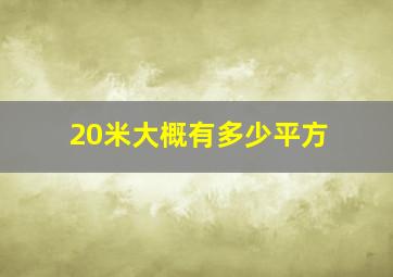 20米大概有多少平方