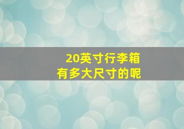 20英寸行李箱有多大尺寸的呢