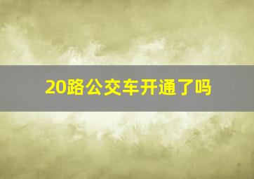 20路公交车开通了吗