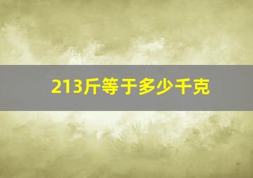 213斤等于多少千克