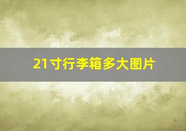 21寸行李箱多大图片