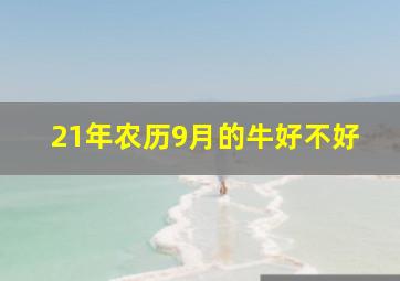 21年农历9月的牛好不好