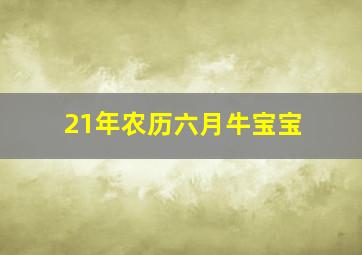 21年农历六月牛宝宝