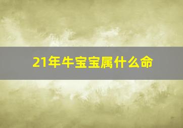 21年牛宝宝属什么命