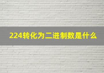 224转化为二进制数是什么