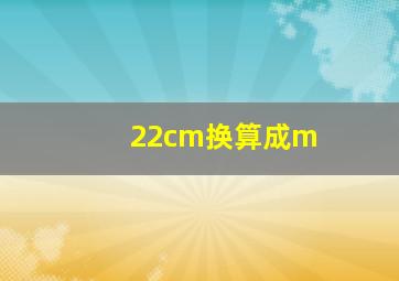 22cm换算成m