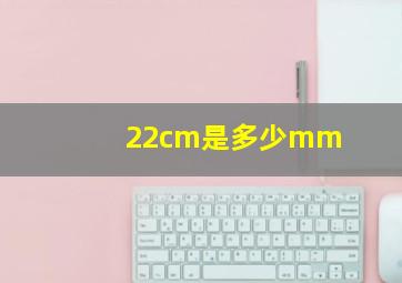 22cm是多少mm