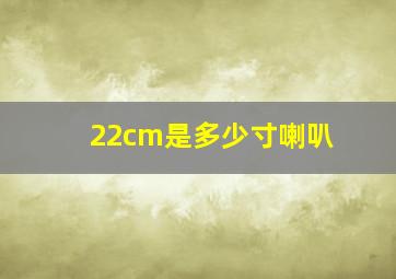 22cm是多少寸喇叭