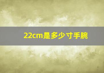 22cm是多少寸手腕