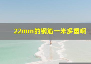 22mm的钢筋一米多重啊