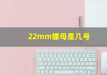 22mm螺母是几号