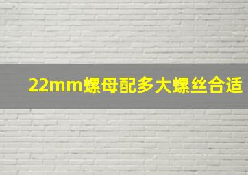 22mm螺母配多大螺丝合适