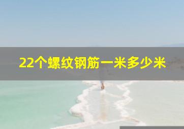 22个螺纹钢筋一米多少米