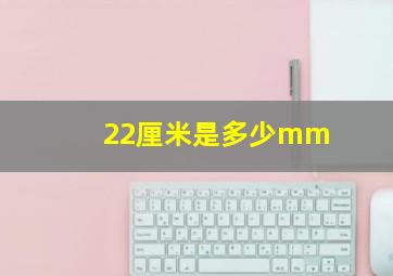 22厘米是多少mm