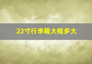 22寸行李箱大概多大